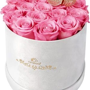 16 Roses in a Box, Preserved Flowers Gifts for Women, Forever Flowers for Delivery, Flower Birthday Gifts Box for Her, Mothers Day Rose Gifts for Mom, Sweet Pink