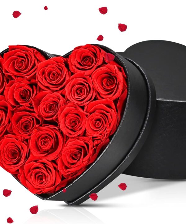 Preserved Red Roses Gift Box, 16 Roses in Black Box with Bow, Forever Flowers for Birthday, Valentine's Day Mother's Day (Red -16)