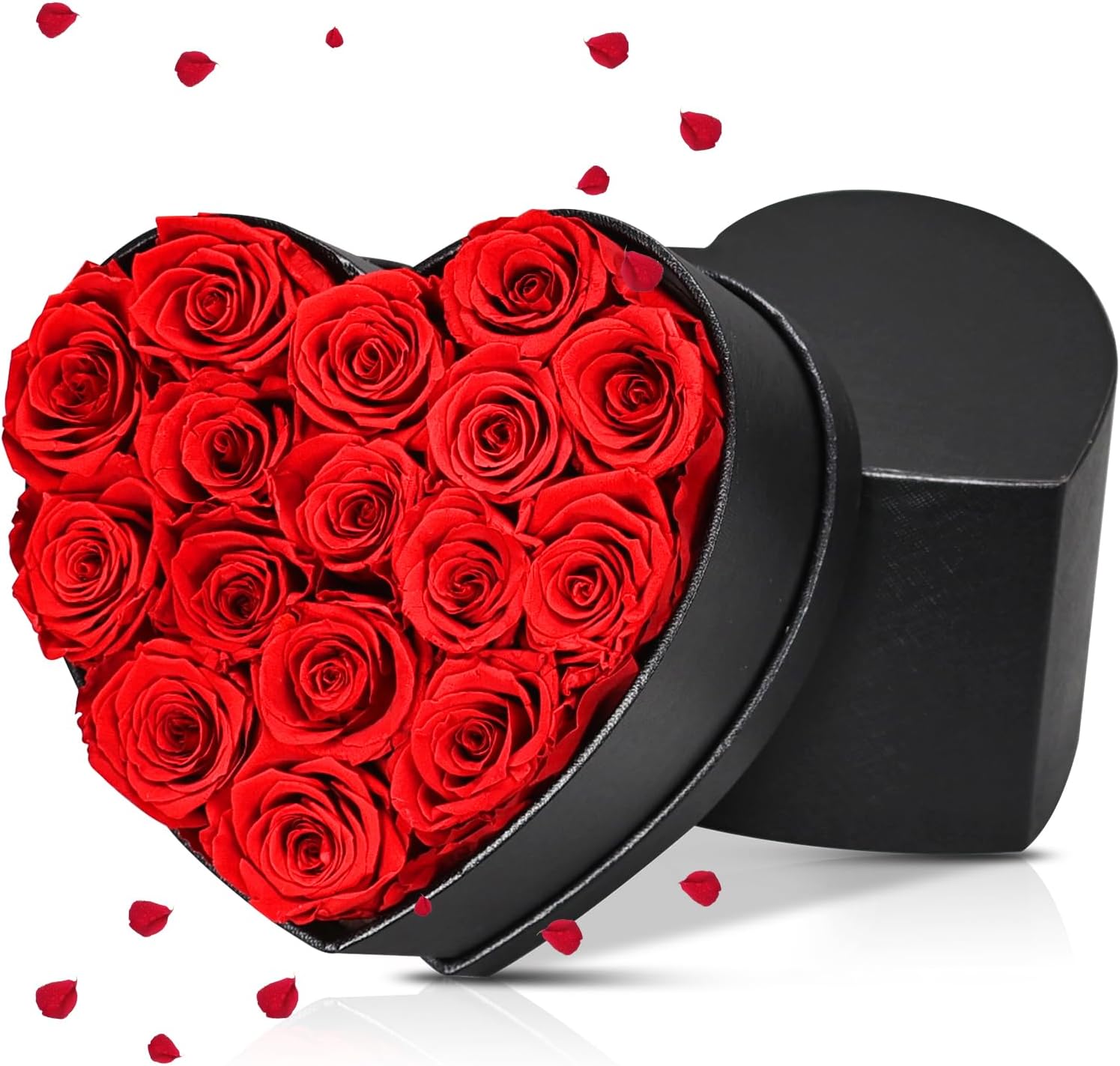 Preserved Red Roses Gift Box, 16 Roses in Black Box with Bow, Forever Flowers for Birthday, Valentine's Day Mother's Day (Red -16)