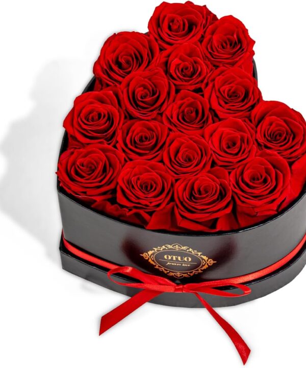 16 Preserved Roses in Heart-Shaped Box, Flowers for Delivery Prime Last up 2 Years, Real Forever Flowers for Wife, Girlfriend, Mother, Eternal Roses for Anniversary - Red