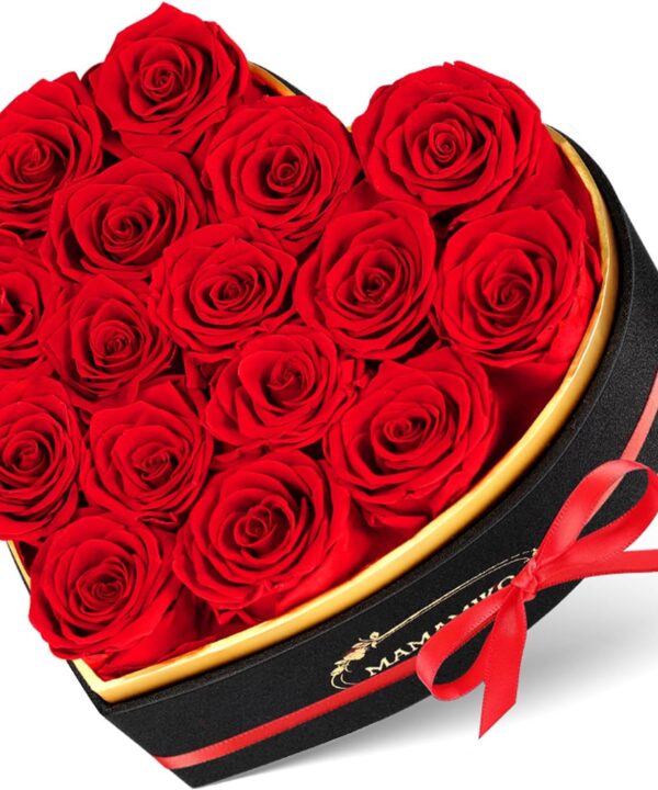 16 Preserved Roses in Heart Shape Gift Box for Her - Forever Flowers for Delivery, Eternal Rose Mothers Gifts for Mom, Wife Anniversary Birthday Gifts for Women, Red