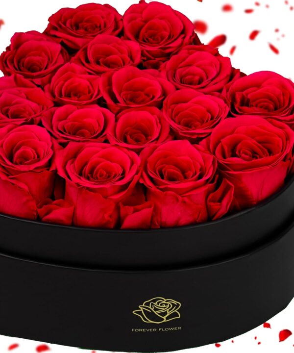 16-Piece Forever Flowers Heart-Shaped Box – Real Immortal Preserved Roses Lasting a Year, Perfect for Birthday, Girlfriend, Mother, or Wife, Valentine Day Gift for Her - Red
