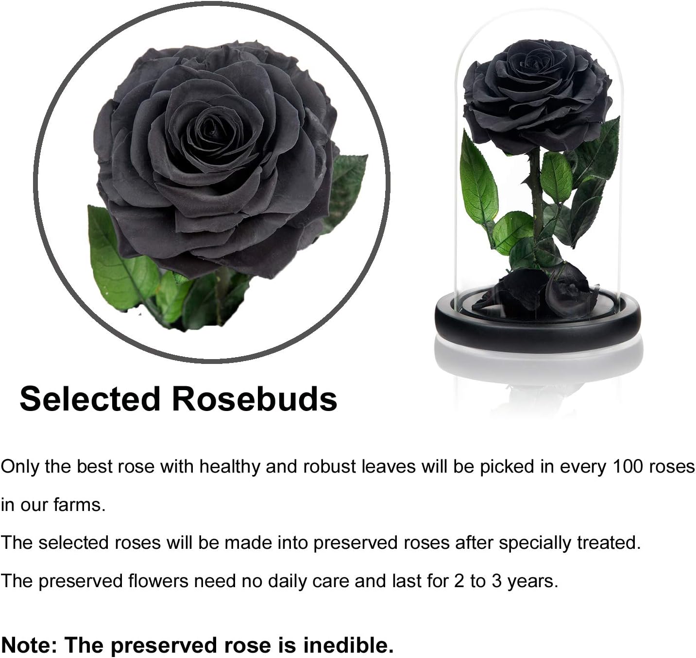 NATROSES Handmade Preserved Roses in Glass Dome, Black Roses Roses, Preserved Flowers Gifts for Women, Mothers Day Flowers