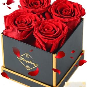 Changshunqi Forever Flowers, Preserved Roses in a Box, Eternal Rose Flowers for Delivery, Forever Preserved Roses Gifts for Her Women Wife Christmas Birthday Mothers Flower for Mom Womens Girlfriend