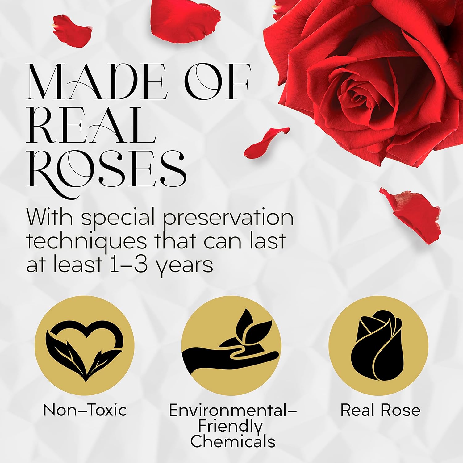 GLAMOUR BOUTIQUE Eternal Preserved Roses in a Box – Flowers Forever, Rose Forever in a Box for Wife, Birthday Gifts for Her, 7 Roses, Red