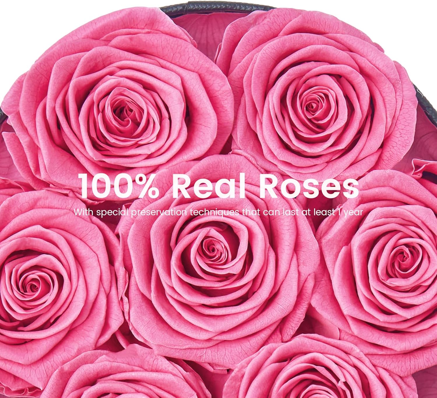 Beaulasting Long Lasting Preserved Roses in a Box Last a Year Forever Flowers for Her Mom Wife Anniversary Birthday (Round Black Box, Pink)