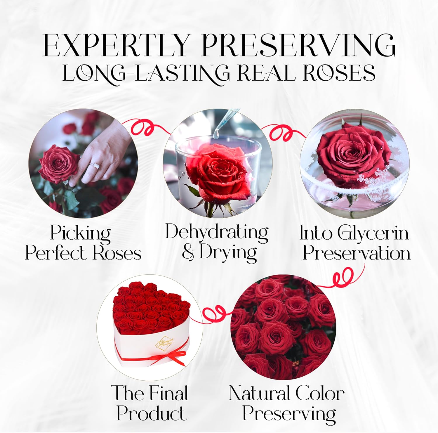 GLAMOUR BOUTIQUE Preserved Roses in a Box – Gifts for Her, Wife & Mom, Rose Flowers Forever Decor for Birthday Gift, Get Well Flower Bouquet Cased in White Box with Cover – Red – 27-Piece