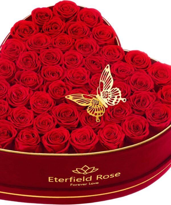 Eterfield Forever Flowers in Heart Shape Box, Preserved Roses That Last Over a Year Preserved Flowers Birthday Gifts for Her Women Mom Wife Anniversary (47Roses, Red)
