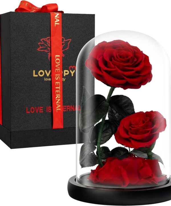 Eternal Flower in a Glass Dome: Preserved Rose - The Perfect Forever Infinity Rose Gift for Her on Valentine's Day, Mother's Day, Birthday, Anniversary, Wedding, and Christmas (9 inch)