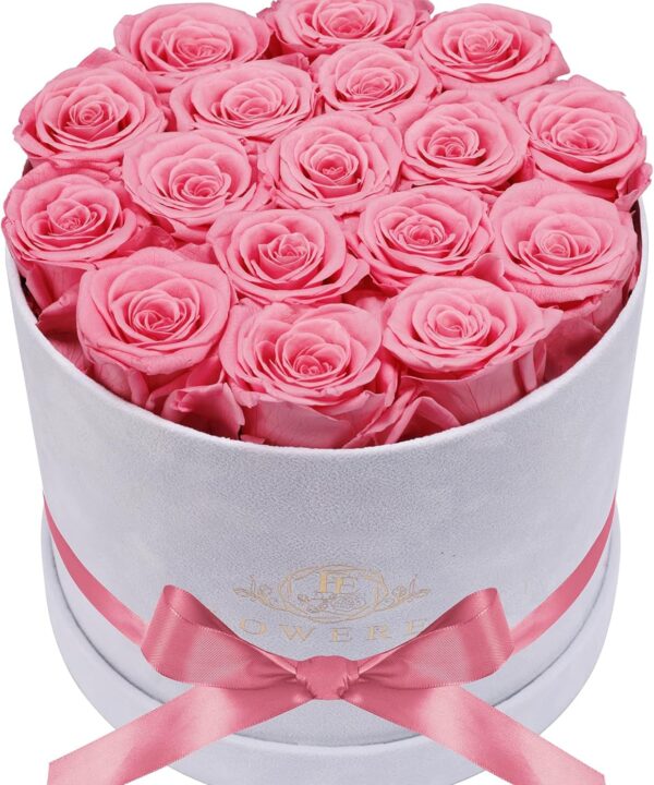 17 Flowers in a Luxury Suede Box, Birthday Gifts for Women, Preserved Flowers, Mothers Day Roses Gift for Mom, Light Pink