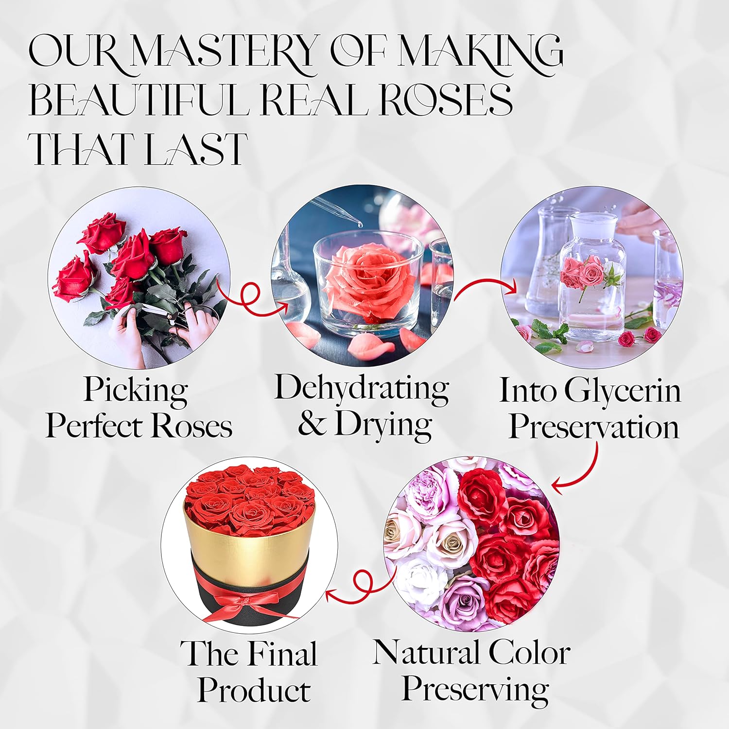GLAMOUR BOUTIQUE Eternal Preserved Roses in a Box – Flowers Forever, Rose Forever in a Box for Wife, Birthday Gifts for Her, 7 Roses, Red