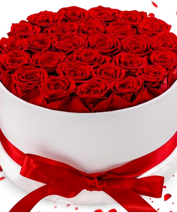 27 Forever Roses in Luxury White Box, Eternal Real Roses Gift for Women, Preserved Flowers for Delivery Prime, Anniversary, Valentine's Day, Birthday for Her (Red)
