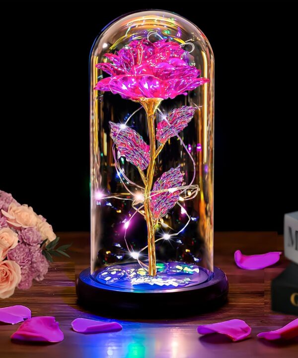 Mothers Day Rose Flowers Gifts for Mom Wife Women Grandma,Mothers Day Presents Wife Grandma Mom from Daughter,Birthday Gifts for Women Light Up Rose in A Glass Dome Presents for Her