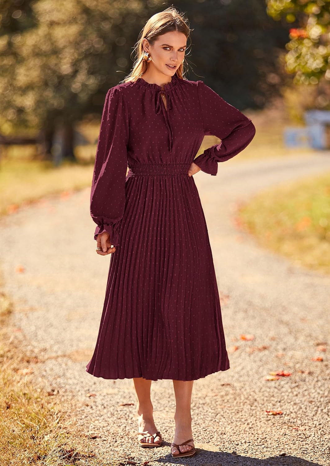 PRETTYGARDEN Womens 2025 Spring Fall Midi Dress Casual Long Sleeve V Neck Swiss Dot Pleated A Line Flowy Dresses