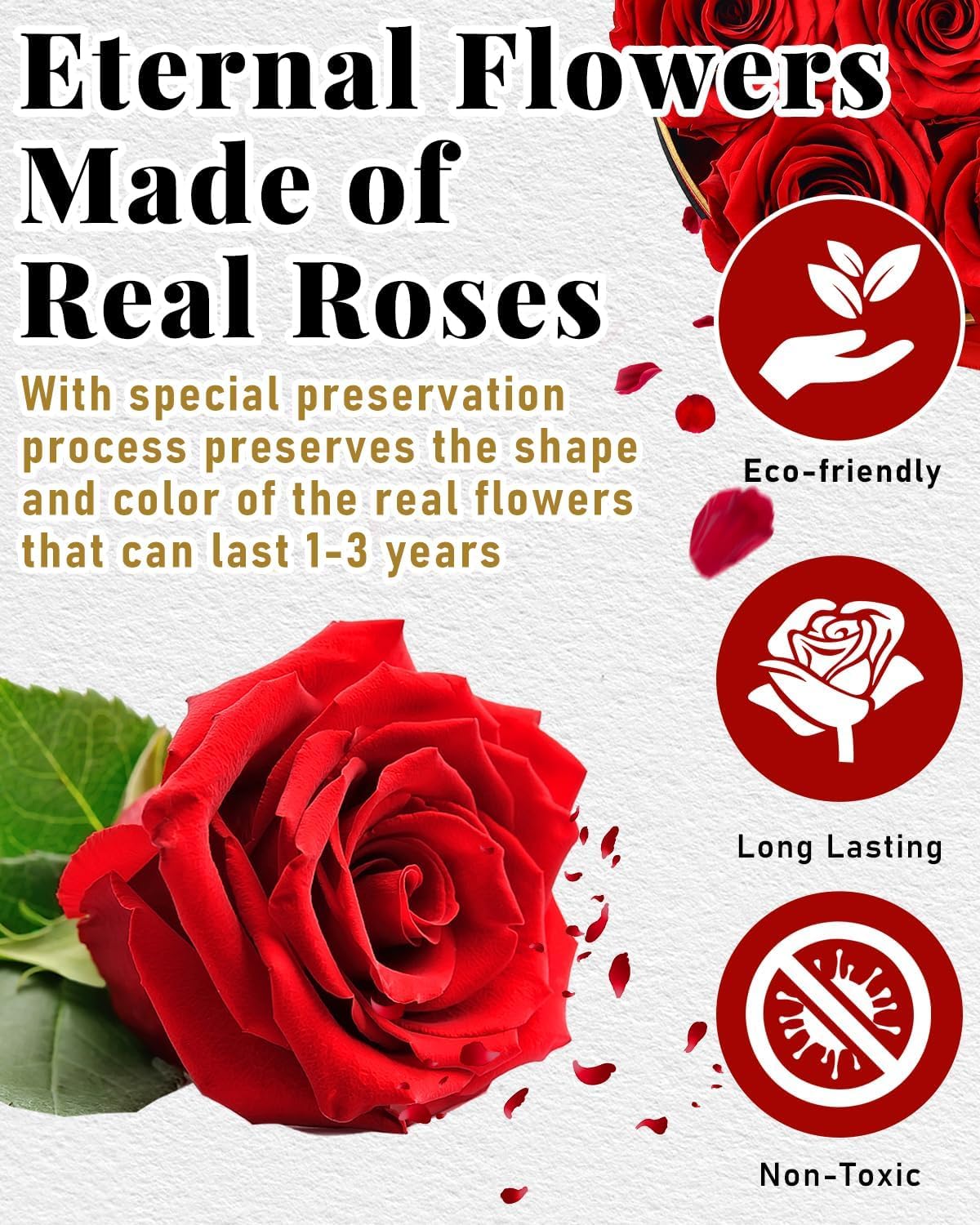 Forever Flowers Preserved Roses in a Box – 7 Preserved Flowers in a Box Last 2-3 Years, Rose Forever Birthday Flower Gifts for Women Her Wife Anniversary Mothers Rose Gift for Her