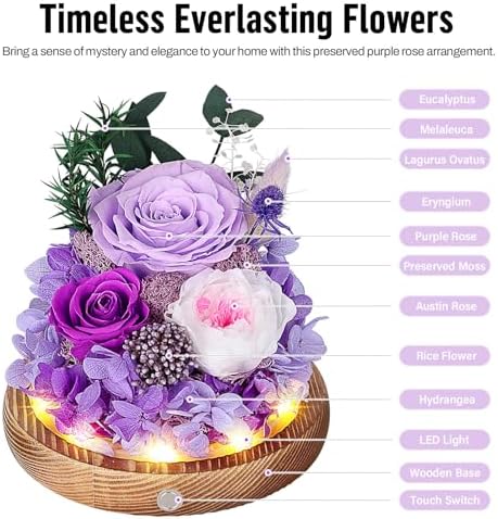 MAMAMIKO Preserved Roses in Glass Dome with LED Light – Long Lasting Real Roses, Forever Flowers for Delivery, Mothers Gifts for Her, Mom, Wife Anniversary Birthday Gifts for Women, Purple