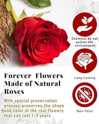 16 Flowers Forever Preserved Roses in Heart Box, Preserved Flowers for Delivery Birthday Gifts Women Anniversary Forever Flowers for Mothers Gift Real Rose Forever Gifts for Women Mom Wife