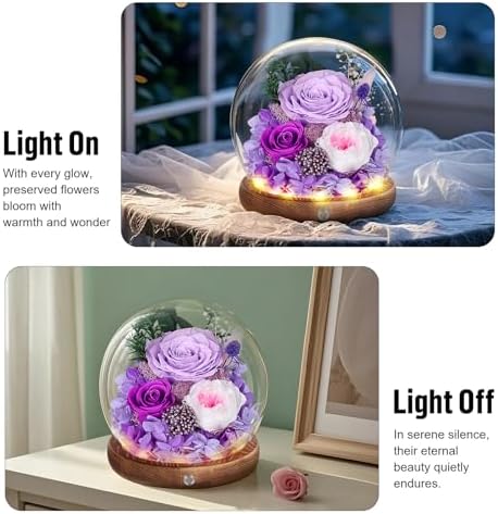 MAMAMIKO Preserved Roses in Glass Dome with LED Light – Long Lasting Real Roses, Forever Flowers for Delivery, Mothers Gifts for Her, Mom, Wife Anniversary Birthday Gifts for Women, Purple