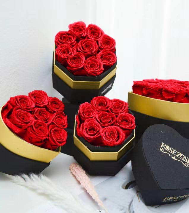 RoseZose Preserved Rose Box Birthday for Women Girlfriend Forever-Rose for Mom Mothers Day Red Rose