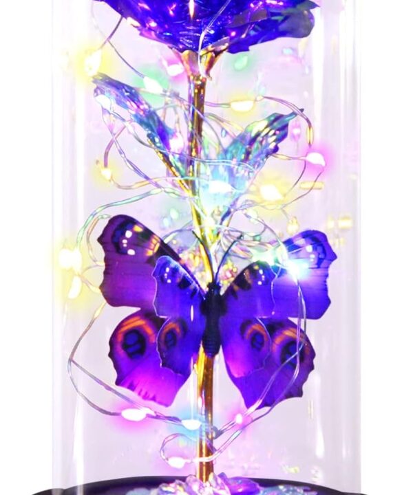 Valentines Day Rose Gifts for Her, Galaxy Purple Butterfly Rose in Glass Dome, Light Up Forever Roses Birthday Gifts for Women Mom Grandma, Eternal Rose Gift for Her Valentine Mothers Anniversary