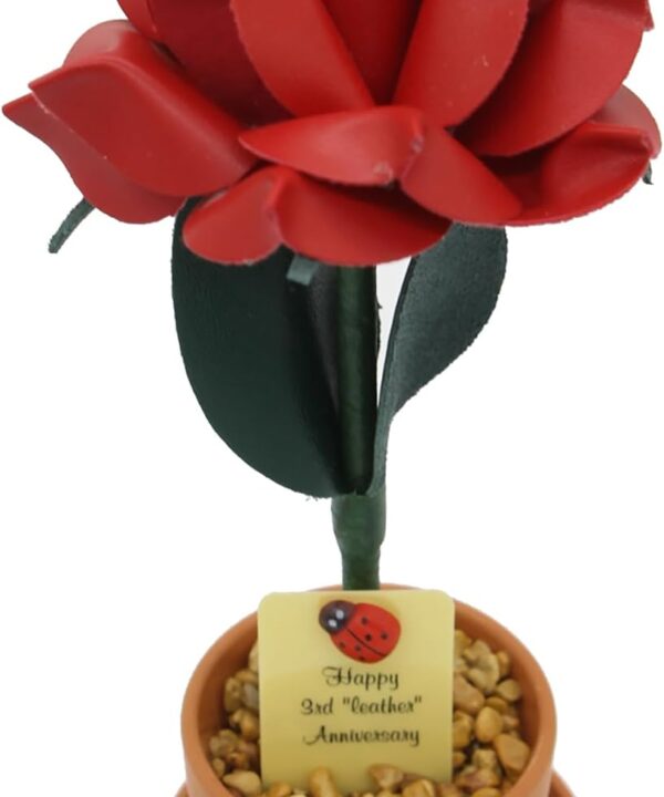 3rd year leather wedding anniversary, years 1 to 20, 25 and 50