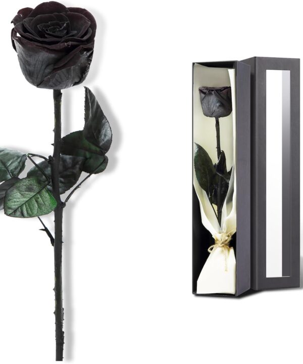 Preserved Rose, Preserved Flowers for Delivery Prime, Single Rose Flower Gifts for Women, Real Rose Gifts for Her, Birthday Gifts, Valentines Flowers for Girlfriend - Black