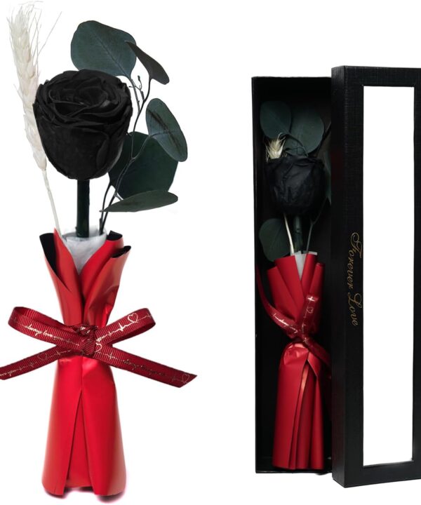 Forever Flower, Preserved Rose Birthday Gifts for Women, Her, Wife, Mom, Prime Eternal Roses Gifts for Mothers Day, Valentines Day, Anniversary, Graduation, Wedding, Single Rose Real Rose (Black)