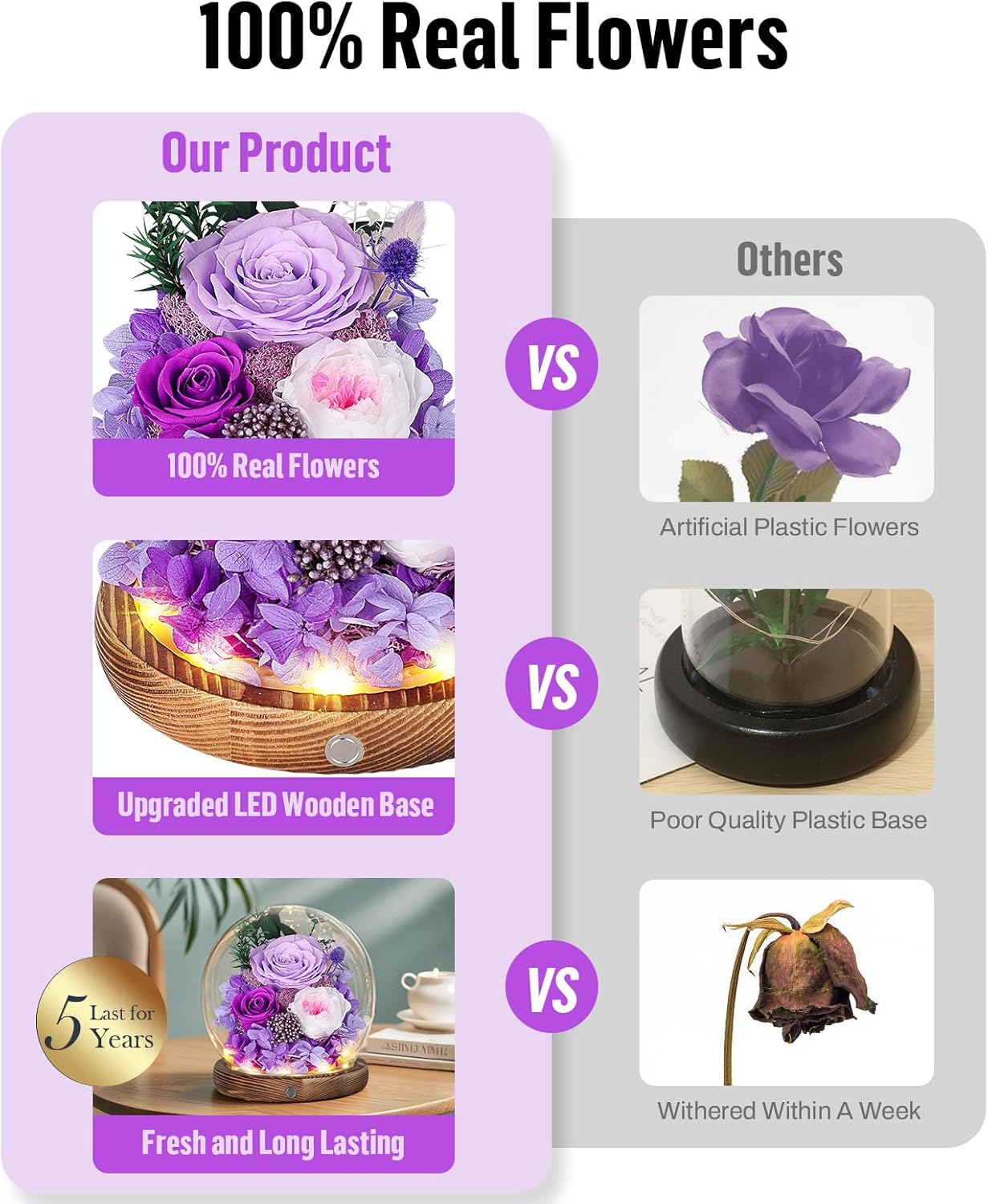 MAMAMIKO Preserved Roses in Glass Dome with LED Light – Long Lasting Real Roses, Forever Flowers for Delivery, Mothers Gifts for Her, Mom, Wife Anniversary Birthday Gifts for Women, Purple