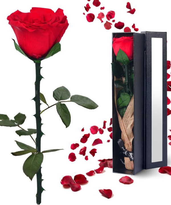 Preserved Flowers Gifts for Women: Valentines Day Mothers Day Birthday Christmas Anniversary Wedding Gift for Mom Girlfriend Wife Grandma Forever Rose for Her Red Single Rose