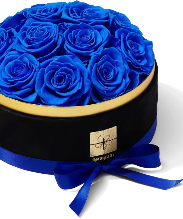 Preserved Real Roses Gift Box for Women by Floragram  Eternal Flowers Dome with Velvet Box  Birthday, Anniversary & Graduation Gifts  Flowers for Delivery Prime  Regalos para Mam