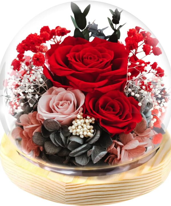 FIACO Preserved Rose Birthday Gift for Women Forever Fresh Flowers for Prime Delivery Gift for Mom Grandma Wife Valentines Mothers Day Christmas Anniversary Eternal Roses in Glass Dome