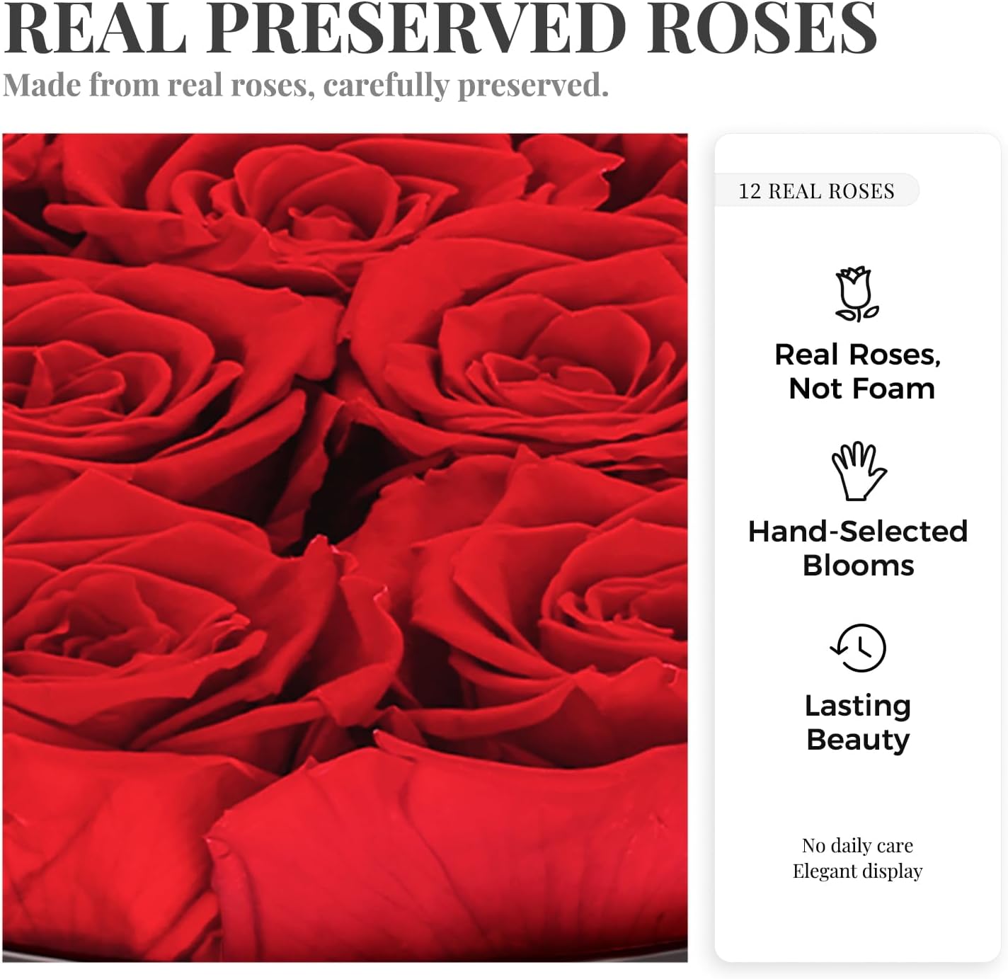 Graclect Preserved Roses in a Box 12 Real Forever Flowers, Luxury Round Flower Gift for Her, Elegant Red Roses for Valentines Day, Anniversary & Home Dcor