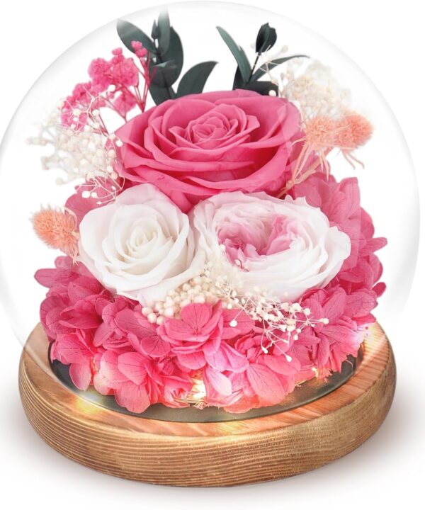 Preserved Flowers Roses in Glass Dome, Forever Flowers for Delivery Prime, Eternal Rose Long Lasting Flowers Gifts for Women Mom Wife Grandma Friends (Pink)