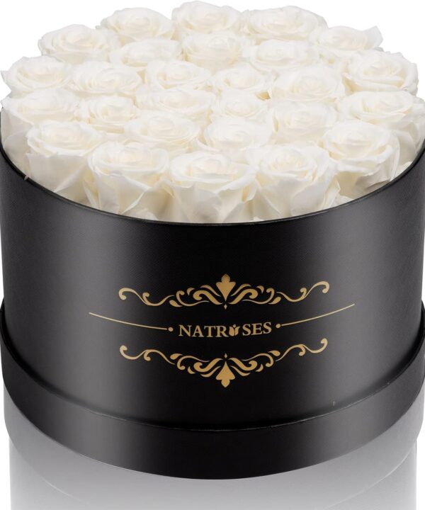 NATROSES 27 Piece Forever Preserved Roses in a Box, Preserved Flowers for Delivery Birthday, Flowers Roses Gifts for Her (White)
