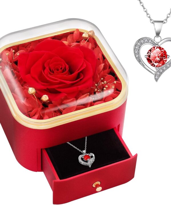 Beferr Valentines Day Gifts for Her Preserved Real Rose with Necklace Eternal Roses Forever Flowers for Delivery Prime Mothers Anniversary Birthday Gifts for Women Mom Grandma Wife Daughter Girlfriend