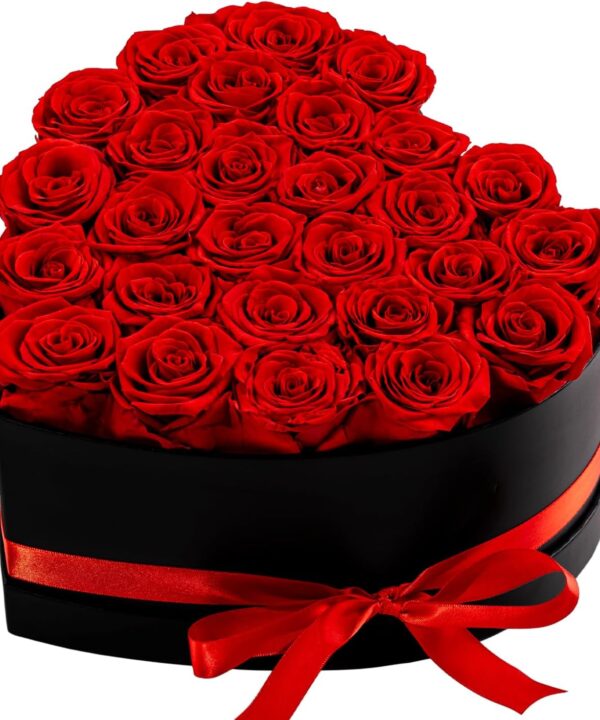 27 Forever Preserved Flowers in a Box, Vanlentines Day Gifts for Her, Eternal Roses Flowers for Delivery Prime, Birthday Gifts for Women Mom Grandma Wife (Red)