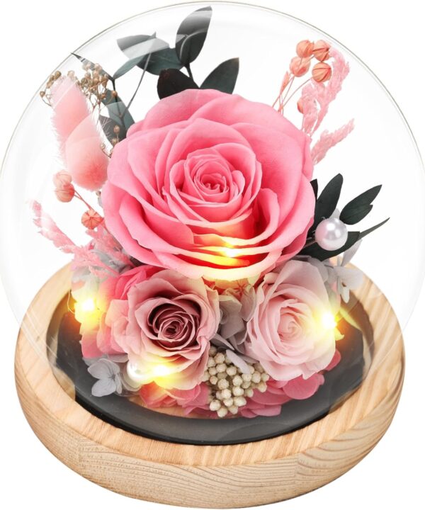 Preserved Roses Flowers for Delivery, Pink Forever Flores in Glass Dome for Women Mom Grandma Wife Girlfriend, Eternal Rose Anniversary Birthday Gift for Valentines Mothers Day Christmas
