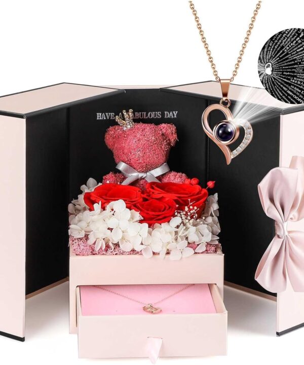ADDWel Rose Gifts for Women Birthday Christmas - Preserved Real Roses Forever Red Flowers with I Love You in 100 Languages Necklace and Cute Moss Bear for Girlfriend Wife Mom Grandma