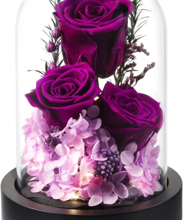 Flowers Gifts for Women, Preserved Roses in Glass Dome, Forever Flowers for Delivery Mothers Day Birthday Gifts for Mom Wife Girlfriend on Valentines Day Anniversary Christmas Purple