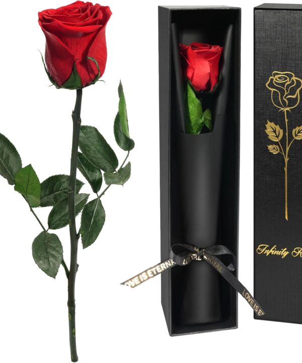 Yamonic Preserved Flowers Rose Gifts for Women Mom, Mothers Day Rose Flower Gifts for Mom, Forever Real Flowers Birthday Mom Gifts for Her, Grandma, Girlfriend, Wife Gifts for Anniversary (Red)