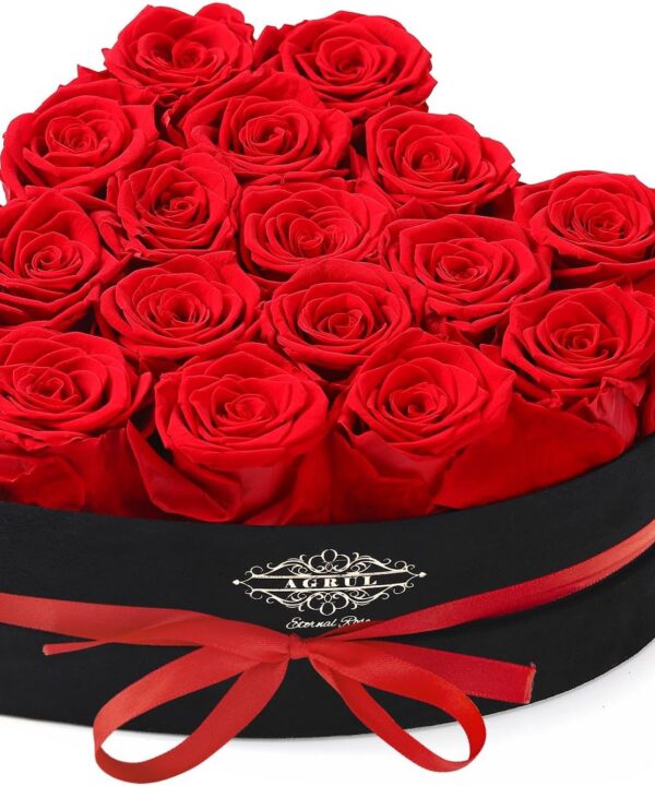 Valentines Day Roses Gifts for Women,Forever Preserved Flowers Roses In a Heart Shape Box,Anniversary Birthday Valentines Day Gifts for Her Wife Women Best Friend Daughter/16Pcs Red