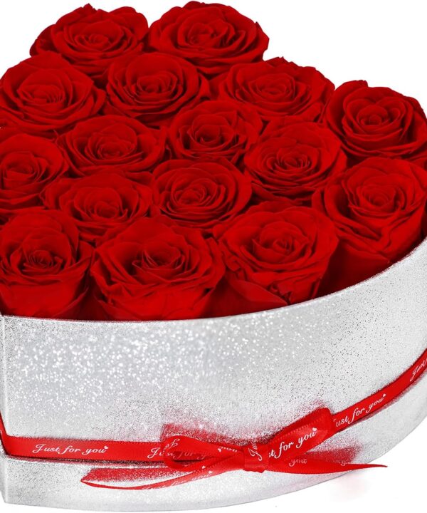 16 Preserved Roses in Box, Forever Flowers for Delivery Prime. Birthday Gift For Women Mom Wife Girlfriend Grandma on Valentines Mothers Day Christmas Anniversary(Red)