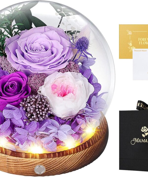 MAMAMIKO Preserved Roses in Glass Dome with LED Light - Long Lasting Real Roses, Forever Flowers for Delivery, Mothers Gifts for Her, Mom, Wife Anniversary Birthday Gifts for Women, Purple