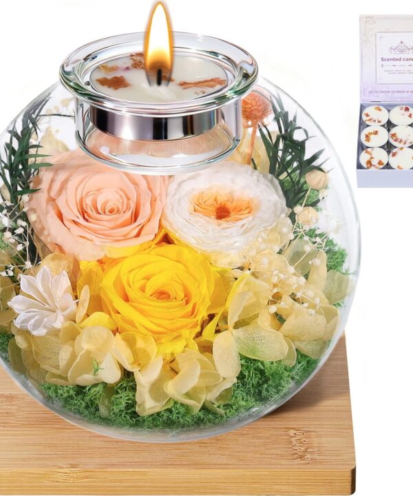 Valentines Day Rose Gifts for Her Mom Women Birthday Flowers for Delivery Preserved Flowers in Glass Dome Forever Eternal Rose Birthday Valentine Gifts for Her Women Daughter Wife Girlfriend Champagne