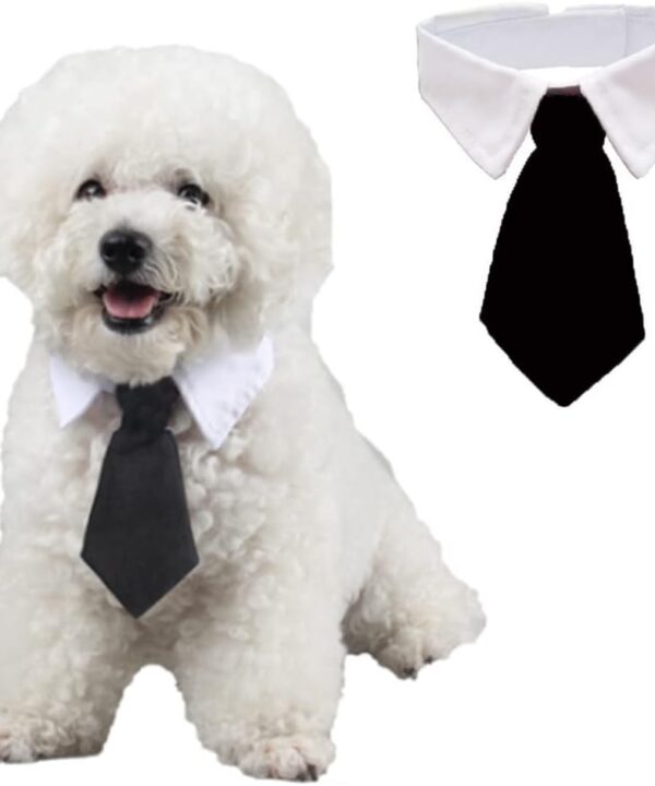 ANIAC Adjustable Dog Cat Neck Tie Puppy Grooming Neck Accessories Formal Wedding Attire White Collar Pet Tuxedo Costume (S, Black)