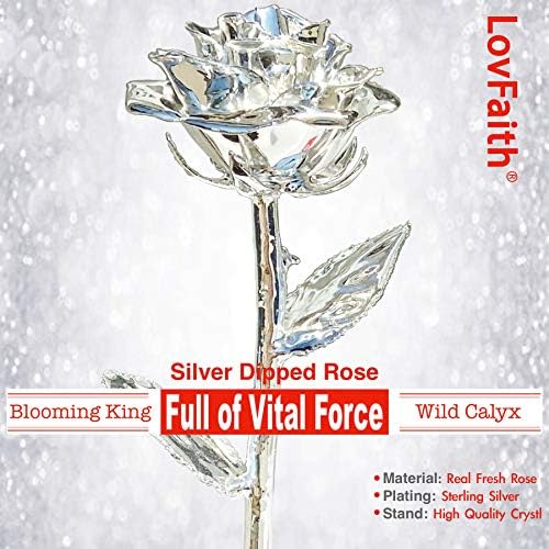 Valentine Gift Real Rose Dipped Thick Sterling Silver with Crystal Stand, Best 25th Anniversary Silver Rose Gift for Her Wife Mother Birthday Christmas (B2. Sterling Silver -Blooming)