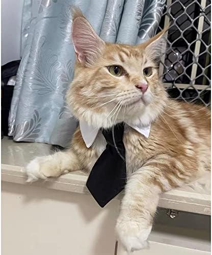 ANIAC Adjustable Dog Cat Neck Tie Puppy Grooming Neck Accessories Formal Wedding Attire White Collar Pet Tuxedo Costume (S, Black)
