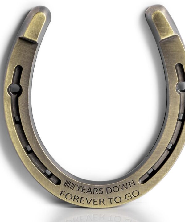 Horseshoe 8th Anniversary Bronze Gifts for Couple, 8 Year Wedding Anniversary Bronze Gift for Her Him Wife Husband Unique Traditional Handcrafted Engraved Decor Horseshoe Represents Good Luck Strength