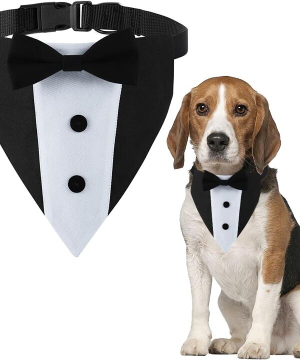 Dog Tuxedo,Formal Wedding Dog Bandana Adjustable Collar with Bowtie,Small Medium Large Boy Dog Wedding Grooming Birthday Party Gift DOGTACT (Medium, Black)