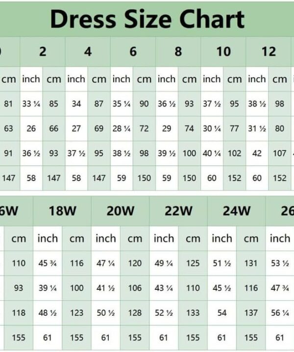 Chiffon Bridesmaid Dresses for Women 2025 One Shoulder Pleated Formal Gowns Long Wedding Guest Dresses